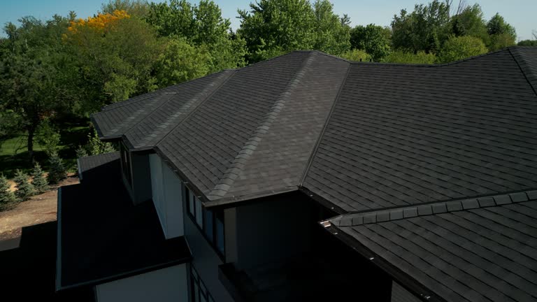 Best Roof Moss and Algae Removal  in , AL